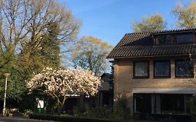 Bed&Breakfast de IJsvogel